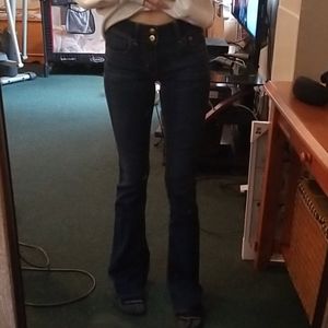 American Eagle Artist Flare Jeans
